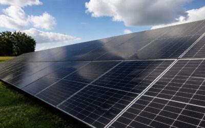 Eclipsa solară din 12 august va reduce producția de energie într-un sistem european deja afectat de caniculă și secetă