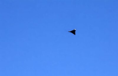 O dronă s-a prăbușit și a explodat în județul Tulcea după ce a survolat localitatea Răchelu