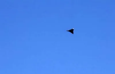 O dronă s-a prăbușit și a explodat în județul Tulcea după ce a survolat localitatea Răchelu