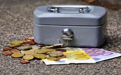 Proiect de lege: Statul vrea să interzică externalizarea politicilor publice către firme de consultanță