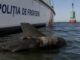 Un fragment de dronă cu încărcătură explozivă a fost neutralizat lângă Sulina